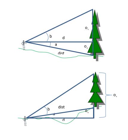 A diagram of a triangle with a tree

Description automatically generated with medium confidence